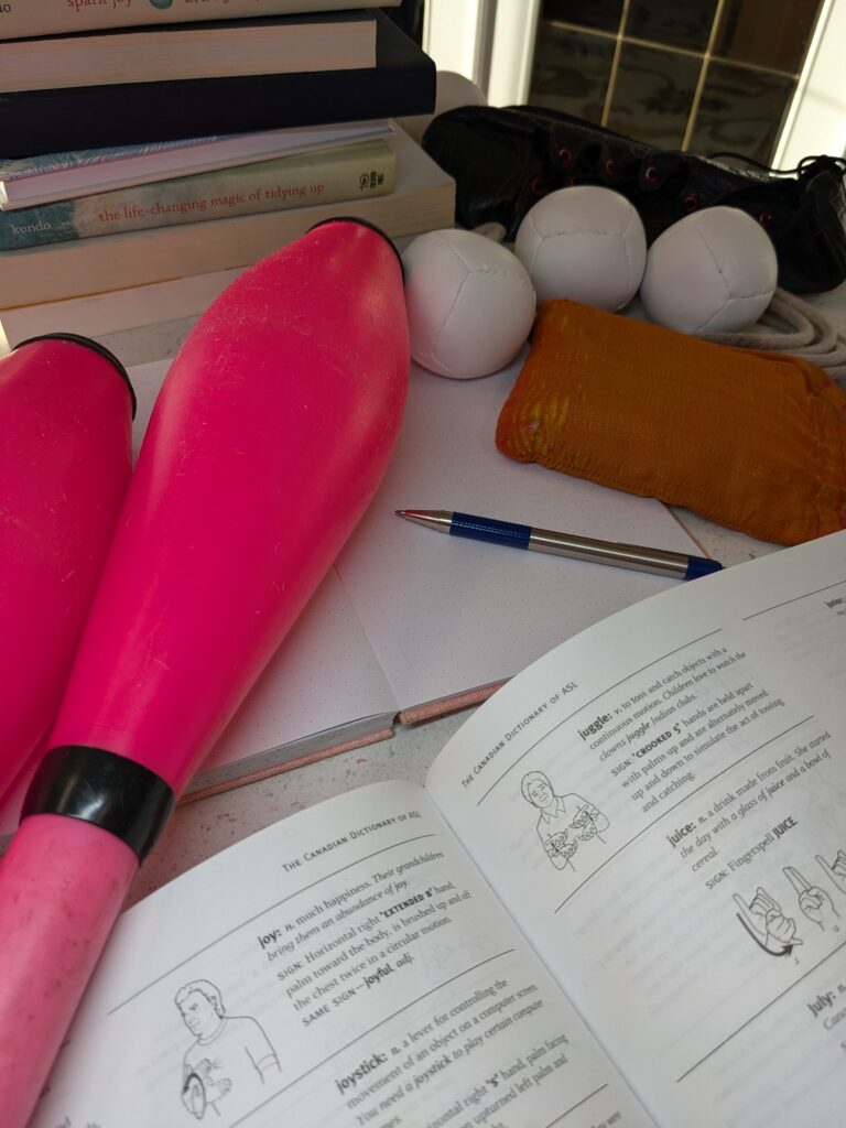 "Spark-Joy" Items - books, journal, juggling props, ASL dictionary, dance shoes